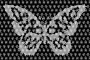 Black and white butterfly background. vector