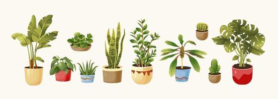 conjunto de plantas en maceta. plantas de interior ilustración vectorial vector