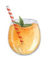 Juice of orange or papaya in glass with straw and mint. Hand drawn illustration of summer tropical exotic cold beverage on isolated background. Drawing of sweet cocktail for bar breakfast menu vector