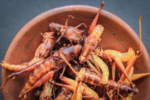 fried grasshopper or belalang goreng is traditional food from southeast asia, served with sambal, onion, garlic, chili on wood background photo