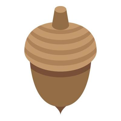 Autumn acorn icon, isometric style