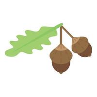 Leaf acorn icon, isometric style vector