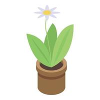 Home flower pot icon, isometric style vector