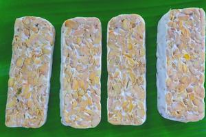 Raw tempeh or tempe. tempeh slices in white background. raw soybean seeds. Tempe is a traditional Indonesian food made from fermented soybeans. photo
