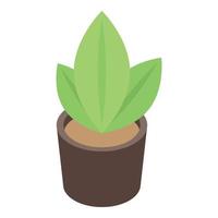 Plant pot icon, isometric style vector