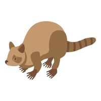 Raccoon beige icon, isometric style vector