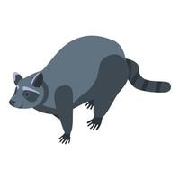 Adorable raccoon icon, isometric style vector