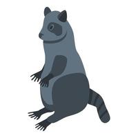 Cute raccoon icon, isometric style vector