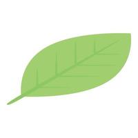 Green leaf icon, isometric style vector