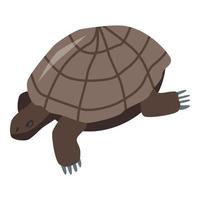 Brown turtle icon, isometric style vector