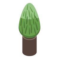 Decorative pot tree icon, isometric style vector