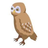 Owl kid icon, isometric style vector