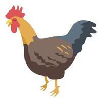 Muscle cock icon, isometric style vector