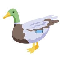 Nature colorful duck icon, isometric style vector