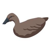 Wild duck icon, isometric style vector