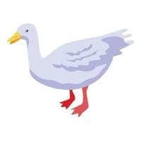 icono de pato de granja blanca, estilo isométrico vector