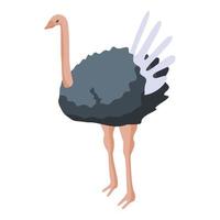 Ostrich bird icon, isometric style vector