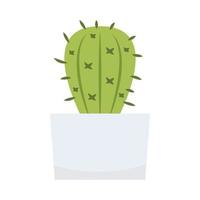 Cactus cartoon vector. Cactus on white background. vector