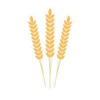 Rice symbol. Wheat symbol vector. wallpaper. logo design. vector