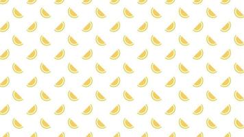 Melon pattern background. melon on white background. wallpaper. symbol. vector