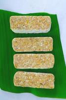Raw tempeh or tempe. tempeh slices in white background. raw soybean seeds. Tempe is a traditional Indonesian food made from fermented soybeans. photo