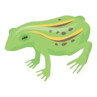 Lake frog icon, isometric style vector