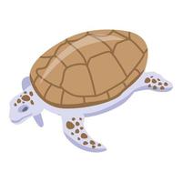 icono de tortuga marrón blanca, estilo isométrico vector