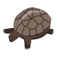 Aquarium turtle icon, isometric style vector
