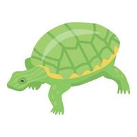 icono de tortuga verde, estilo isométrico vector