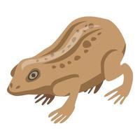 Field frog icon, isometric style vector