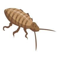 Cockroach bug icon, isometric style vector