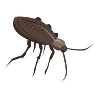 American cockroach icon, isometric style vector