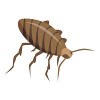 Cockroach insect icon, isometric style vector