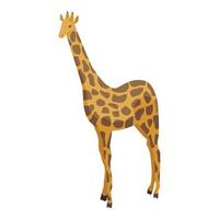 Giraffe icon, isometric style vector