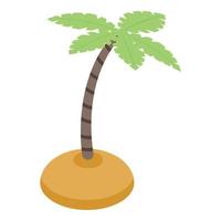 Palm tree at island icon, isometric style vector