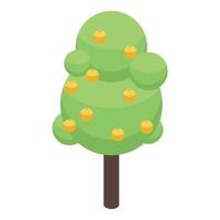 Apricot tree icon, isometric style vector