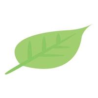 Carambola leaf icon, isometric style vector