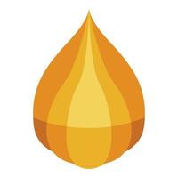 Physalis icon, isometric style vector