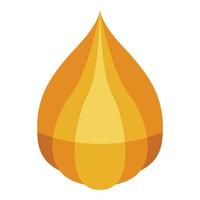 Physalis icon, isometric style vector