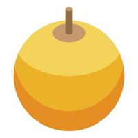 Physalis berry icon, isometric style vector