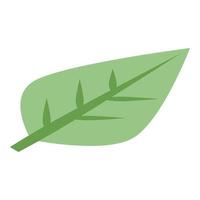 Persimmon leaf icon, isometric style vector