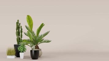 plantas caseiras em vasos em fundo bege. conceito de amante de plantas, detalhes interiores verdes. vários vasos de plantas. renderização 3D. video