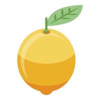 Whole lemon icon, isometric style vector