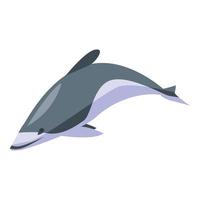 White grey dolphin icon, isometric style vector