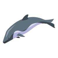 Dolphin swim icon, isometric style vector