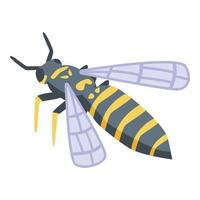 Wasp agression icon, isometric style vector