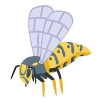 Wasp icon, isometric style vector