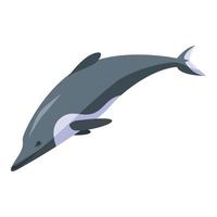 icono de pez delfín, estilo isométrico vector