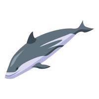 Nature dolphin icon, isometric style vector