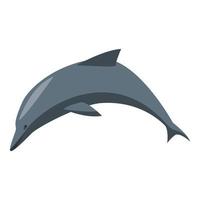 icono de delfín, estilo isométrico vector